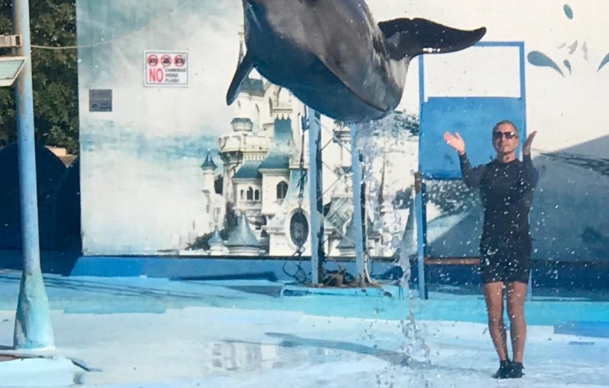 Dolphin Show & Swim with Dolphins