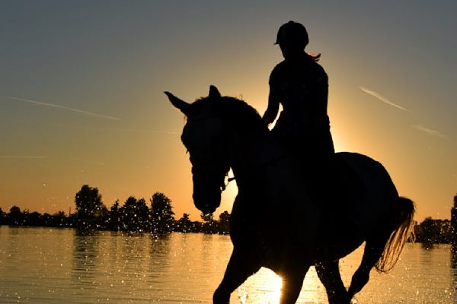 Horse Riding