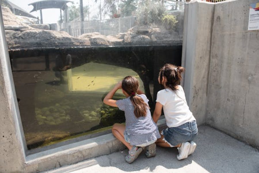 Aquarium Hurghada