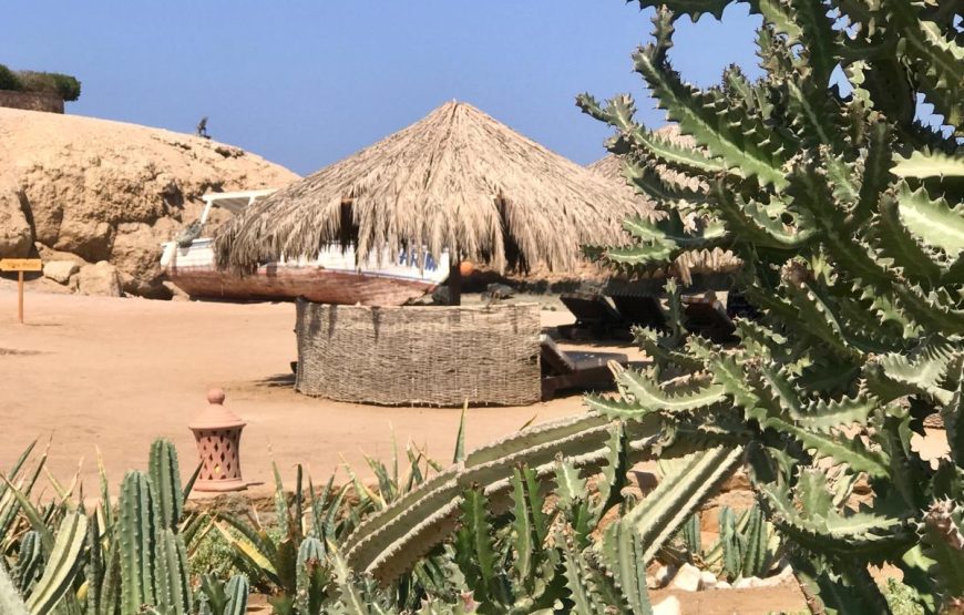 Park narodowy sharm